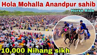 Hola Mohalla 2024 Anandpur sahib/ Anandpur sahib hola Mohalla 2024 /charan ganga stadium horse Ride