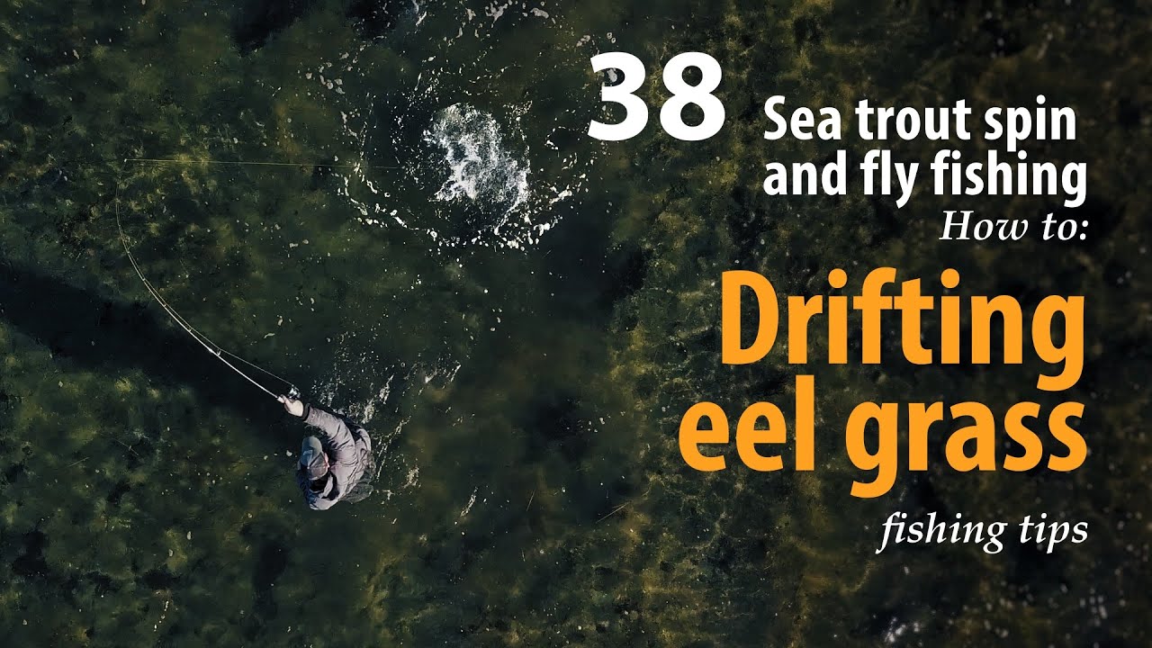 How to • Sea trout - Spin and fly fishing • Drifting eel grass • fishing tips