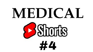 LUMBAR VERTEBRA | VERTEBRAL COLUMN #medicoverse #medical #mbbs #medicalshorts