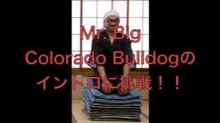 Mr Bigのcolorado bulldog イントロに挑戦！！２パターン弾いてみました。