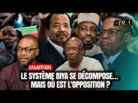 CAMEROON: END-OF-REIGN ATMOSPHERE IN YAOUNDÉ BUT A VERY DISCREET OPPOSITION