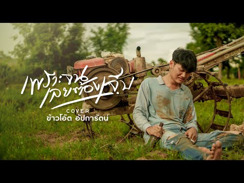 เพราะจนเลยต้องเจ็บ Cover - ข้าวโอ๊ต อัปการัตน์ [ต้นฉบับ เม้ก อภิสิทธิ์ ]