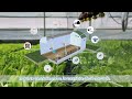 Smart greenhouse solutions