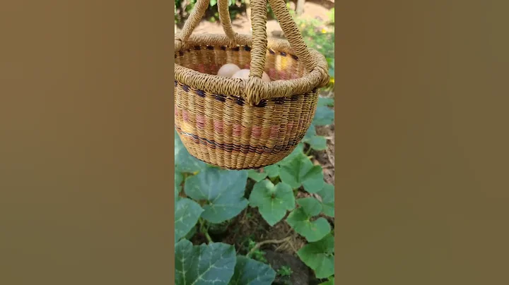 This is the beautiful small Bolga Basket, perfect for nature kids! Handmade in Ghana Africa