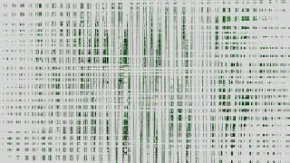 WordPress 7.0 Delay 2026 Alert: Enterprise CMS Database Crisis