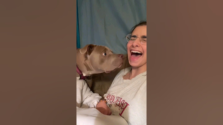 Dog Finds Out Owner Can SPEAK..🤣