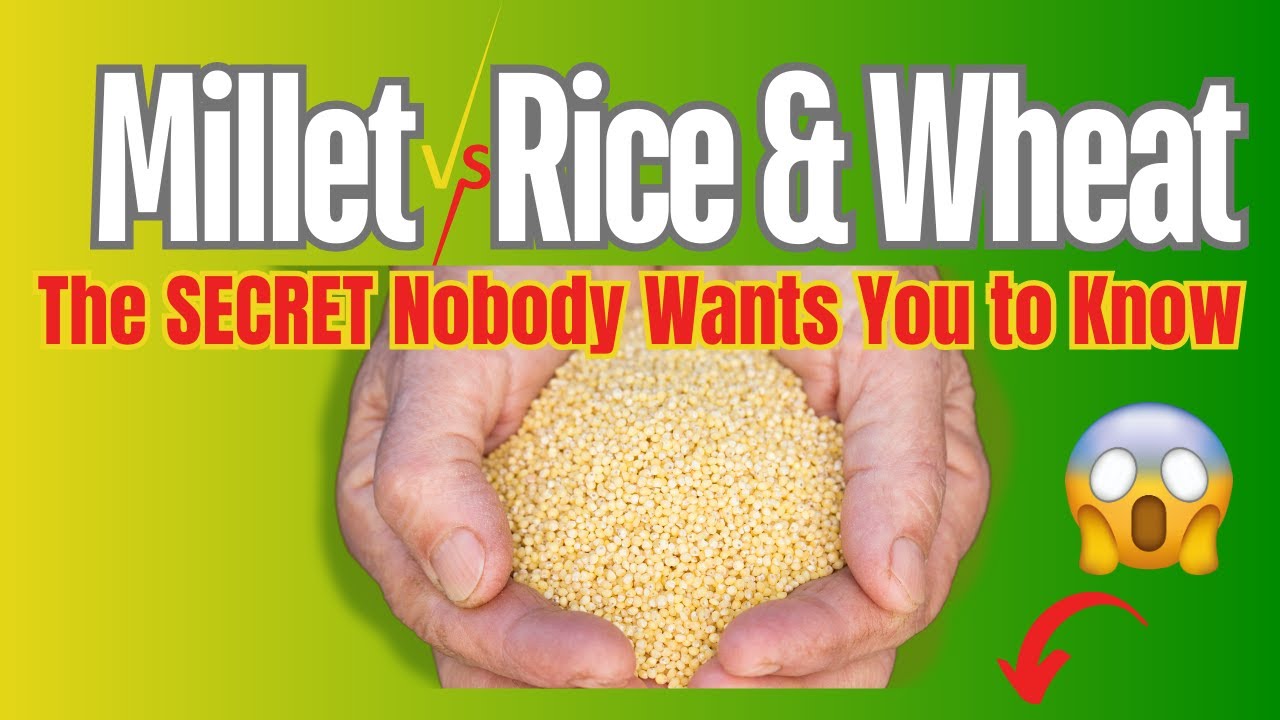 Millet Vs Wheat & Rice : The Shocking Truth You Wont Believe | Milletjourney | Anil Kumar |