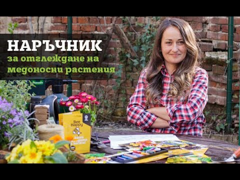 Видео: Как да привлечем пчели: Отглеждане на пчелна градина