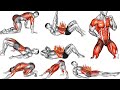 Daily stretching exercises for everyone  fitonus