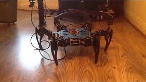 Hexapod Robot Walking Using Inverse Kinematics