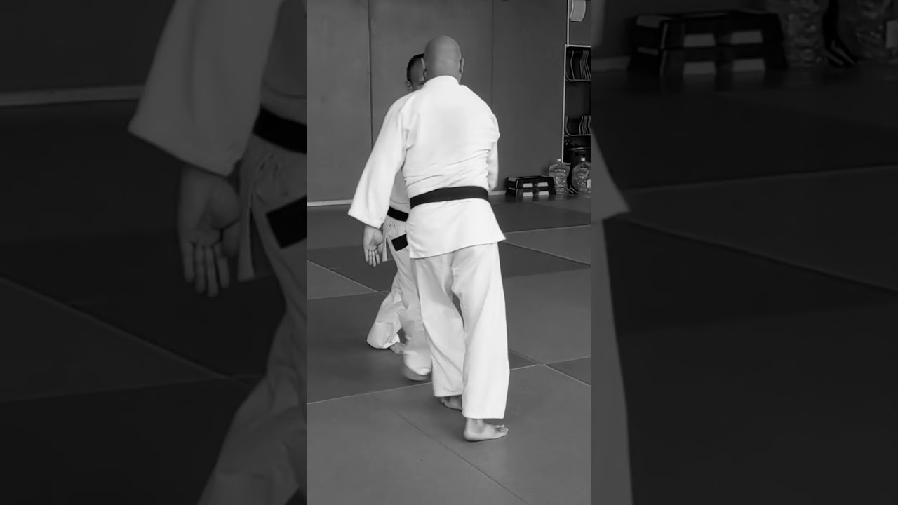 Shomenuchi sokumen iriminage 正面打ち自由技 