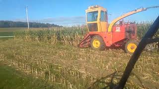 Opening up corn fields with the Fox chopper 2019