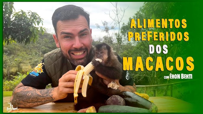 A moda (irresponsável) de ter um macaco-prego como animal de