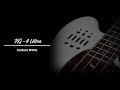 Бас-гитара Godin RG-4 Ultra Carbon White RN