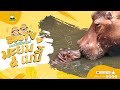 🔴 Live! Mayom &amp; Baby | 5-5-2026 , 06:00 | Zoo TV สวนสัตว์เชียงใหม่