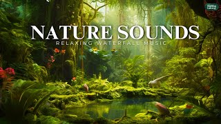 Most Soothing and Relaxing Music | Sleeping Music | Calm Music | Meditation Music | Spa Music | Zen