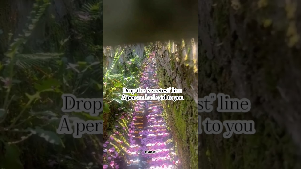 Drop the☆sweetest✧ line once a person said to you❤️‍🩹!!!