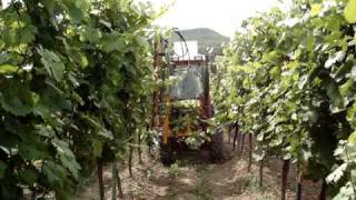 Stockmayer Vine Trimmer (Single U) in Action 02