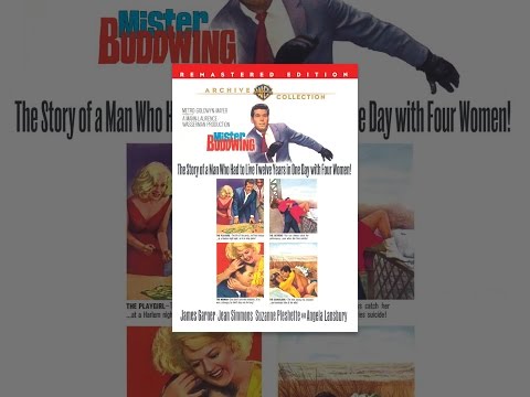 Download Mister Buddwing (1966)