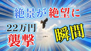 【ドローン攻撃】22万円の新型ドローンが空撮で鳥に攻撃され絶景が絶望になる末路【dji air3】