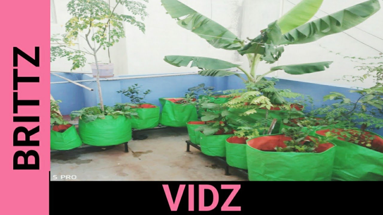 என்னுடைய மாடித்தோட்டம் எப்படி இருக்கு// Terrace garden in tamil YouTube