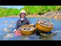 Harvesting giant clam  goes to countryside market sell  cooking farming gardening  tieu lien