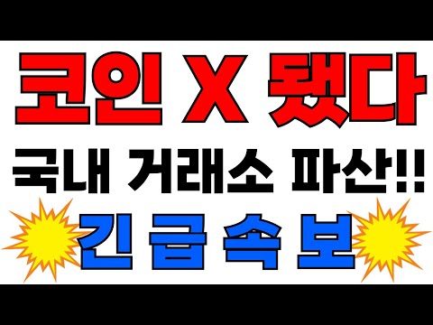 시바이누 수이코인 수이 펀디엑스 <strong>세이프코인</strong>