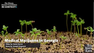 Medical Marijuana In Georgia, In Context