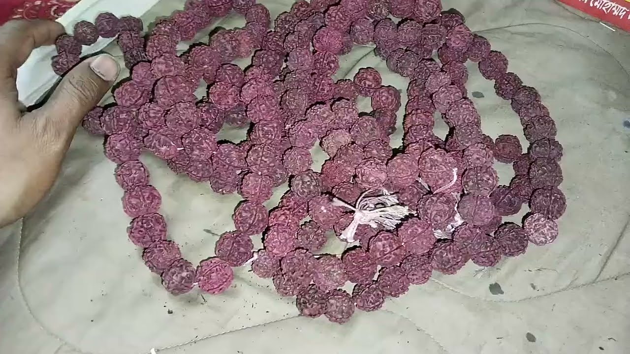 মন্ত্র জপ করার রুদ্রাক্ষর মালা নীতে অর্ডার করুন, 01968117795
