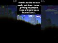 These Items Break the Game #shorts #terraria #terrariabeginner #terrariaguides