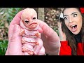 I Found A Baby Alien..
