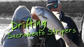 Drifting live bait for Sacramento River Striped Bass Ft. Scott Feist!
