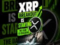 XRP Whales Are Loading Up 👀 #xrp #crypto #ripple