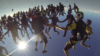 Head-Down World Record Net Worth