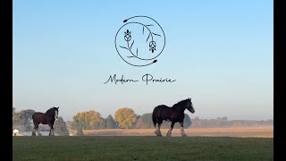 Modern Prairie Recap 2024