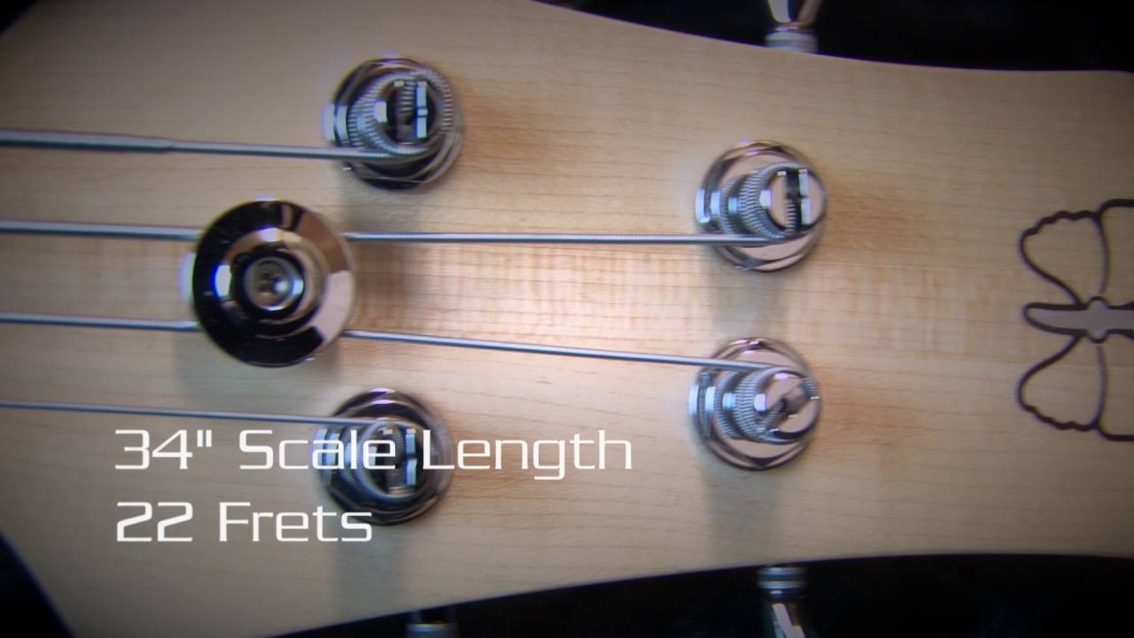 source definition Bass Club Chicago Demo - Fodera Monarch-P