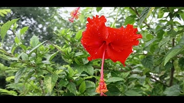 జీవితం మనం మార్పు కోసం ముందుకు వెళ్లాలి మన జీవితం చాల నేర్పుతుంది ఓ నమో వసుదేవాయ#trendingshorts#maa 