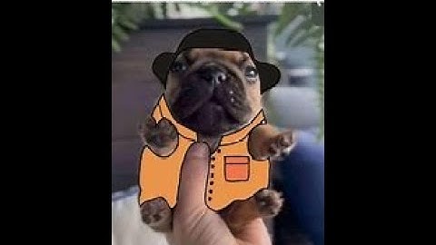 1 MTF VS a whole Chaos Insurgency spawn, guess who won. // SCP SL