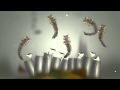 Mosquito Life Cycle Quiz