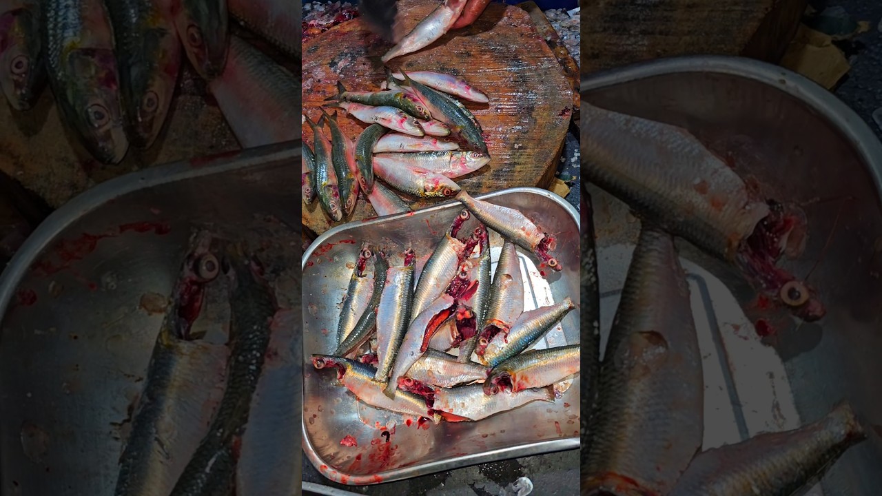 Sardin mathi tarli fish!! sagar fish hoodi Bangalore 