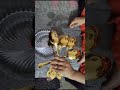Video Image