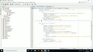 INGRESO DE USUARIO /CLAVE  《Uso excepciones  método vector constructor》 Jenny Pedrera