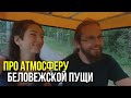 ну что, знакомим Вас еще глубже с атмосферой в Беловежской Пуще🕊️