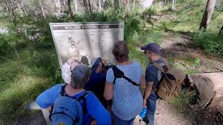 The Newnes Historic Ruins Walk