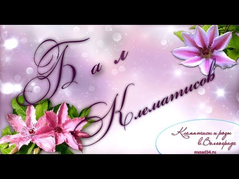 Бал Клематисов