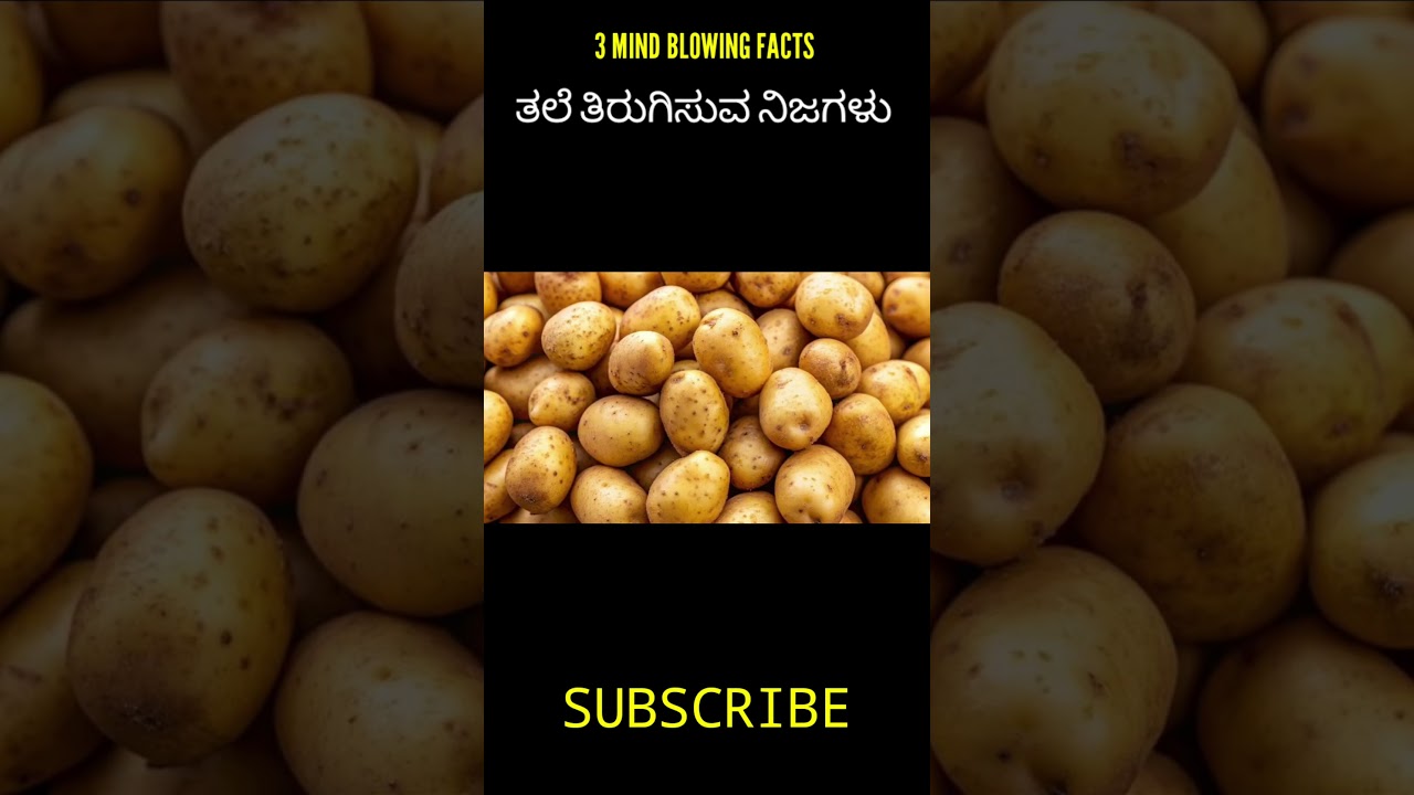 💥 Top 3 amazing ಕನ್ನಡ facts 💥......