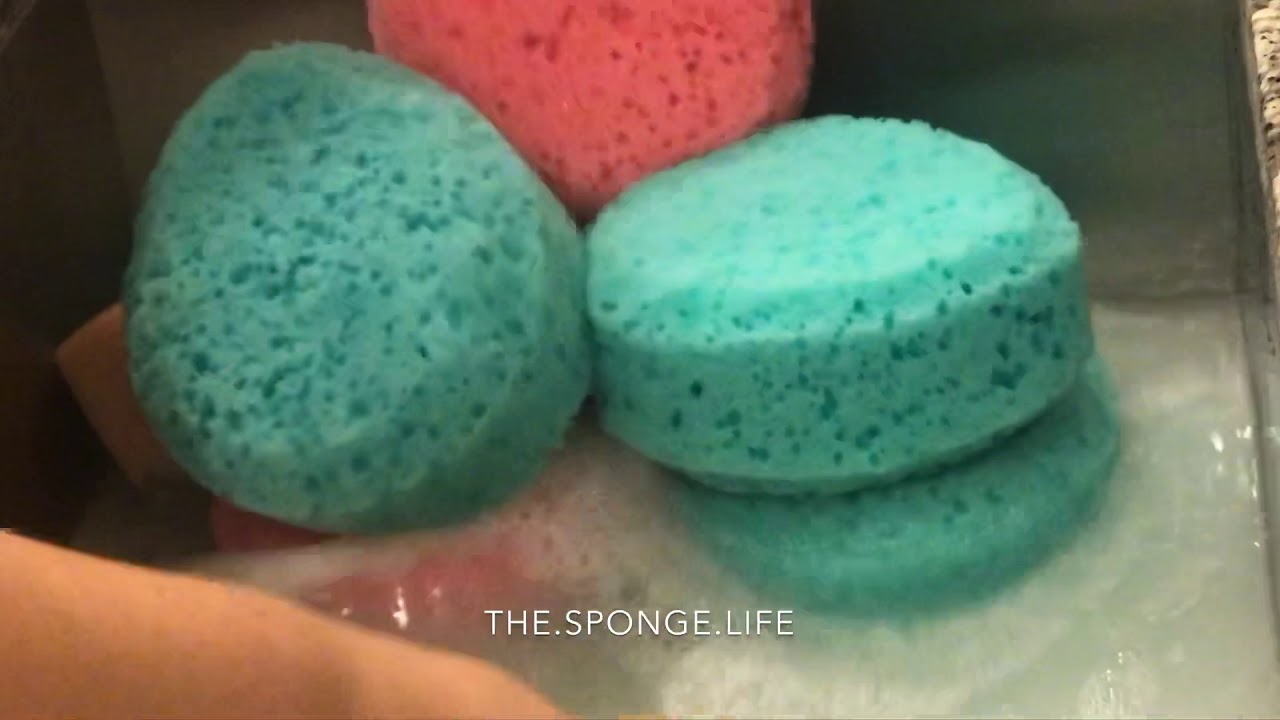 Squeezing Sponges in Hot Pinalen Water! | Requested Video - YouTube