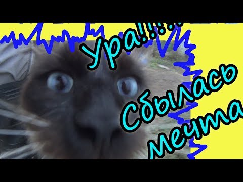 Мечта сбылась!!! //