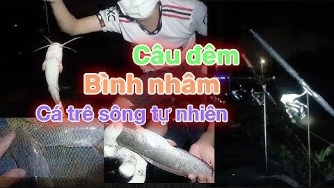 Câu Cá Đêm | Bình Nhâm Sông Sài Gòn | @Lão Để TV....
