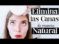 👀 CÓMO ELIMINAR LAS CANAS NATURALMENTE (con remedios caseros)👌 BereRo